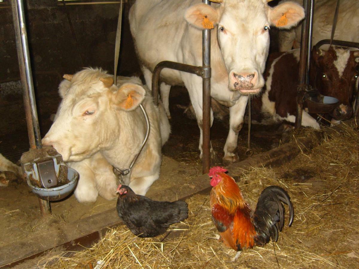 Ferme Hurlet Stavelot Exterior foto